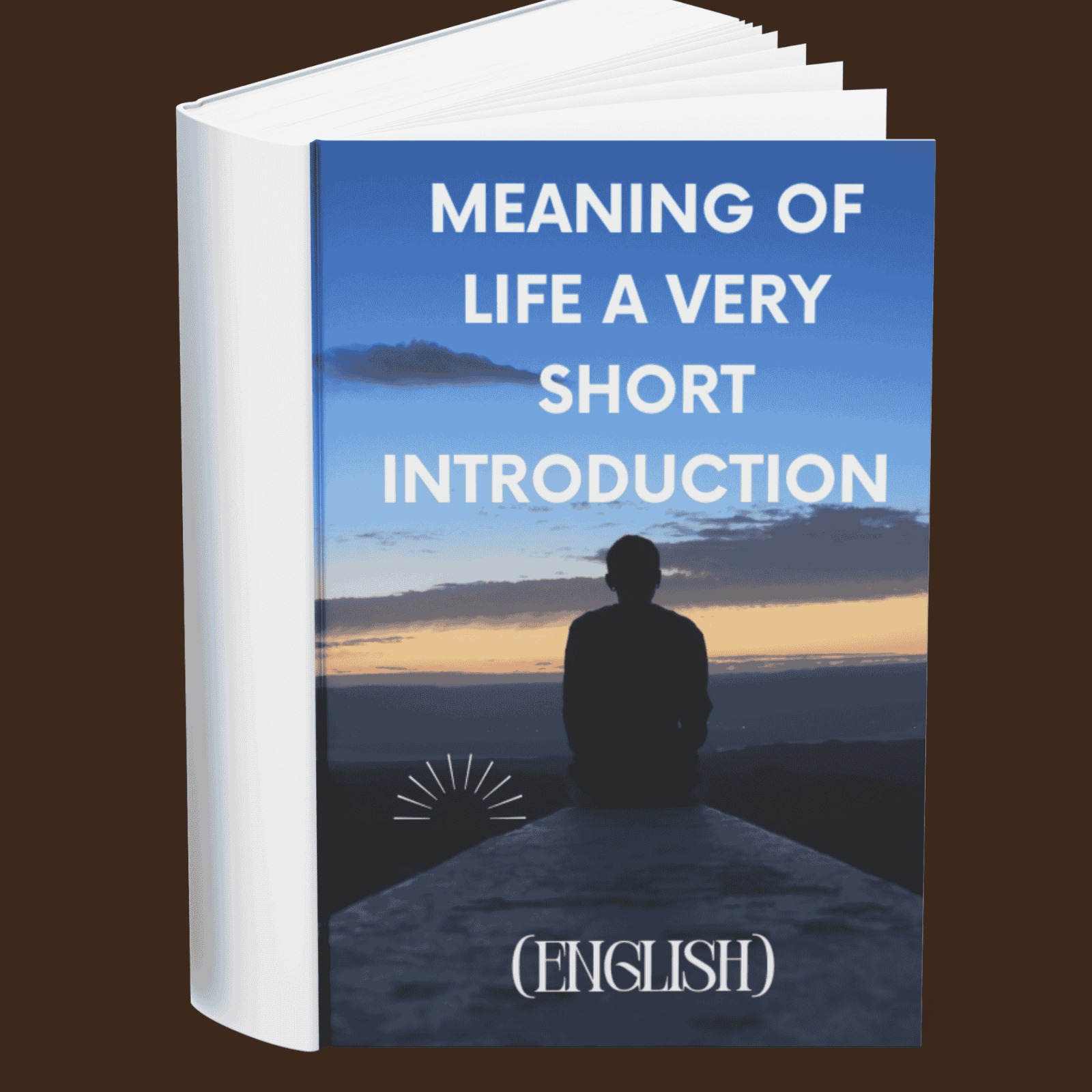 Meaning of Life A Very Short Introduction (English)