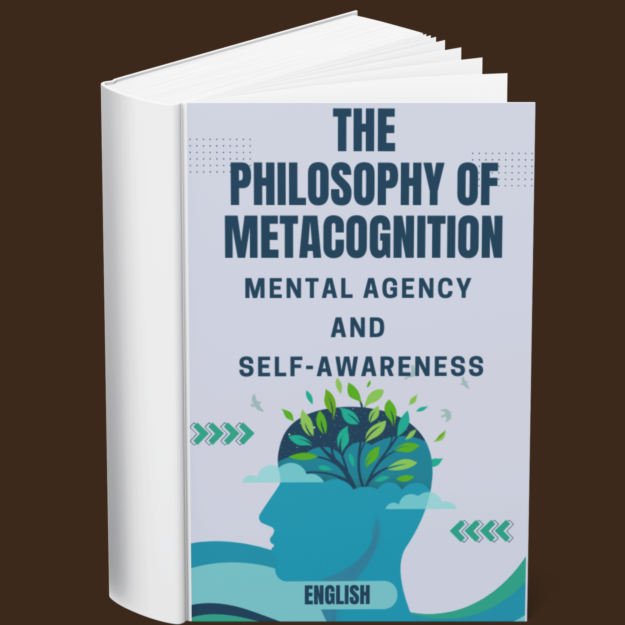 The Philosophy of Metacognition Mental Agency and Self-Awareness (English)