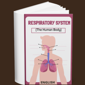 The Respiratory System (The Human Body) (English)