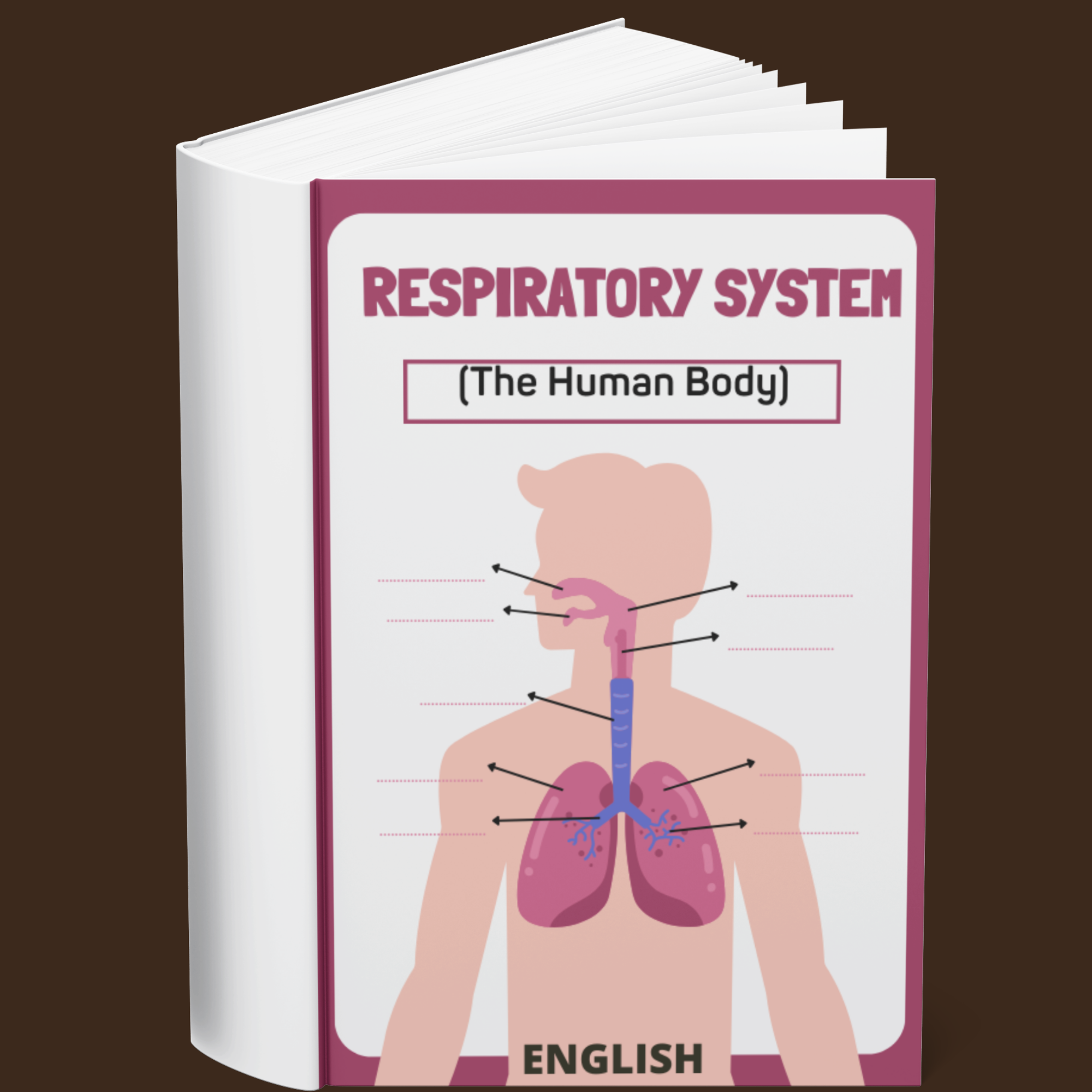 The Respiratory System (The Human Body) (English)