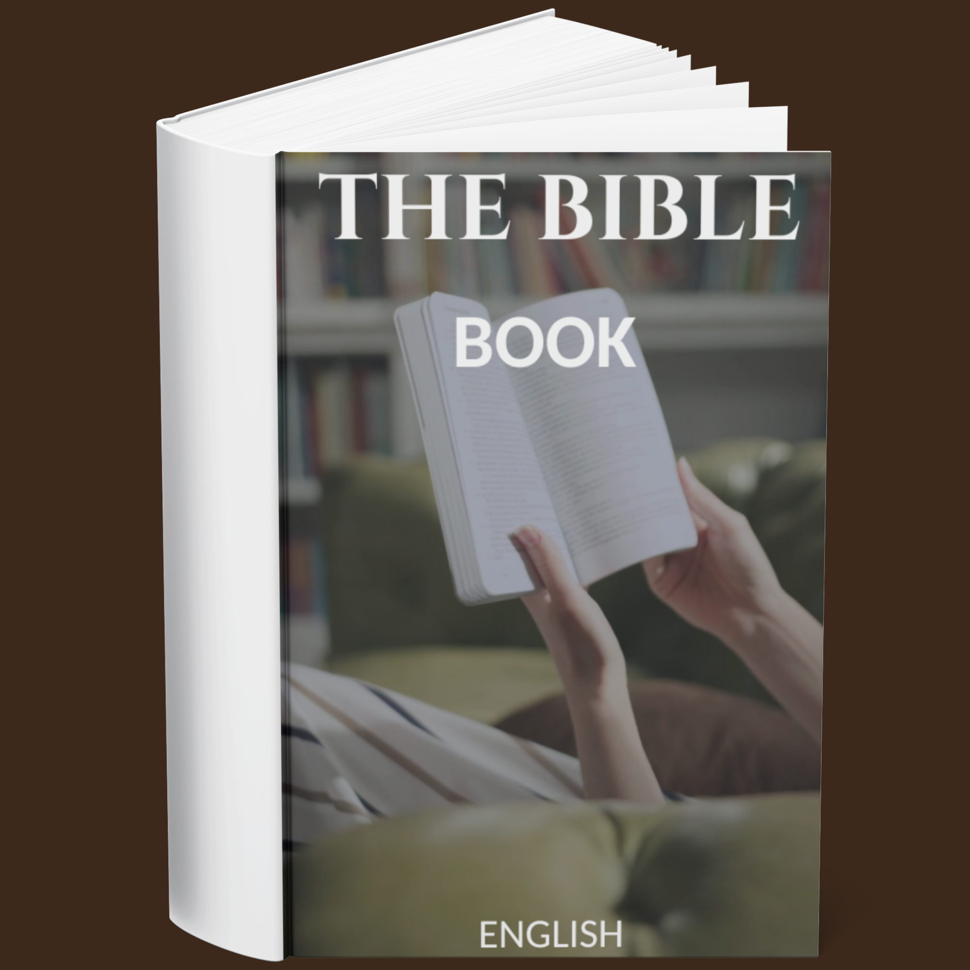 The Bible Book (English)