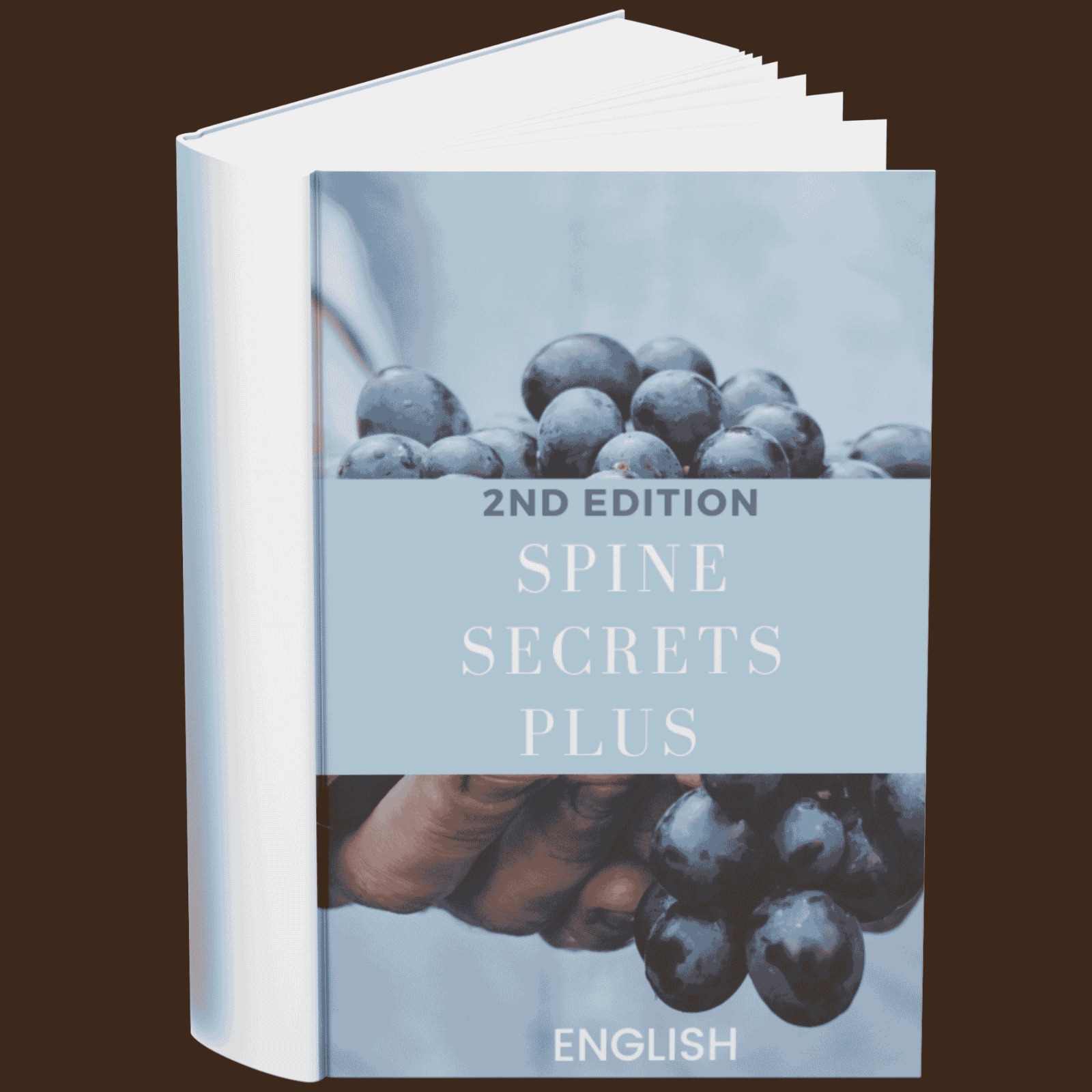 Spine Secrets Plus 2nd Edition (English)
