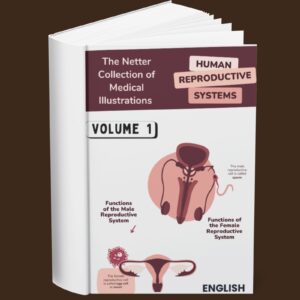 The Netter Collection of Medical Illustrations Vol 1 Human Reproductive System (English)