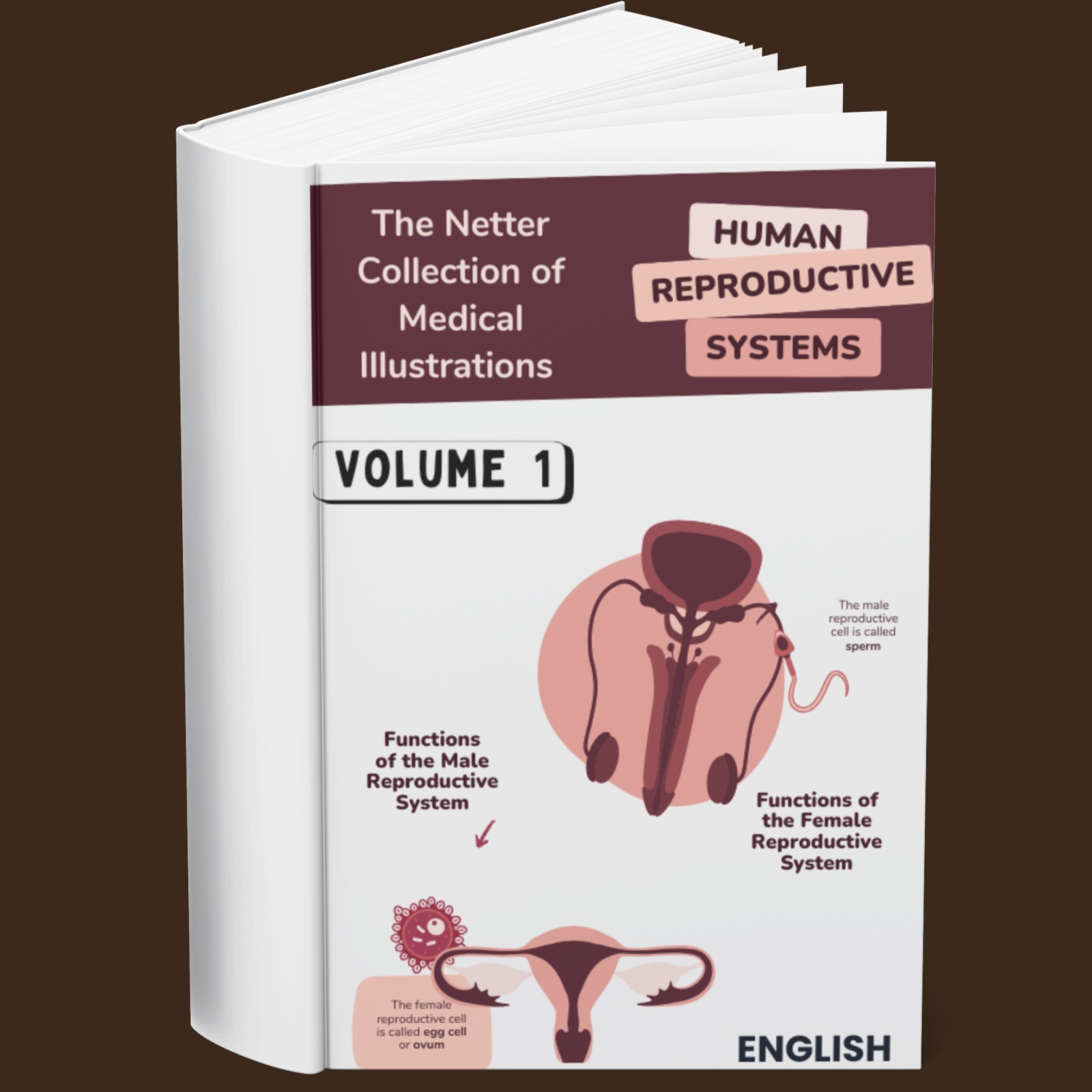The Netter Collection of Medical Illustrations Vol 1 Human Reproductive System (English)