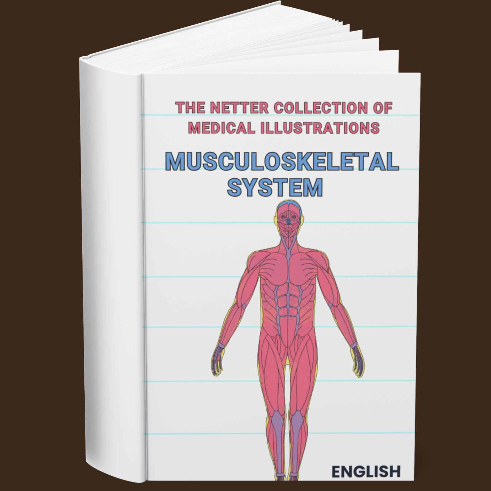 The Netter Collection of Medical Illustrations Musculoskeletal System Upper Limb (English)