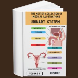 The Netter Collection of Medical Illustrations Urinary System Volume 5 (English)