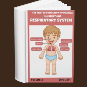 The Netter Collection of Medical Illustrations Respiratory System Volume 3 (English)