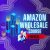 Amazon Whole Sale Course (Hindi)