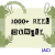 1000+ Reel Bundle