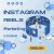 Instagram Reels Marketing Course (English)